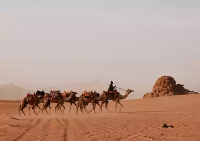 ทัวร์จอร์แดน Image9