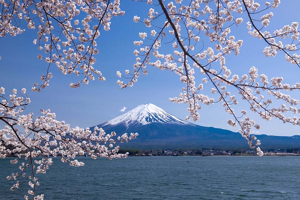 ทัวร์ญี่ปุ่น ภูเขาไฟฟูจิ (Mount Fuji) Image14