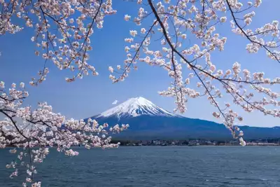 ทัวร์ญี่ปุ่น ภูเขาไฟฟูจิ (Mount Fuji) Image14