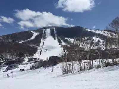ทัวร์ญี่ปุ่น สกีรีสอร์ท ชิงะ โคเงน (Shiga Kogen Ski Resort) Image26