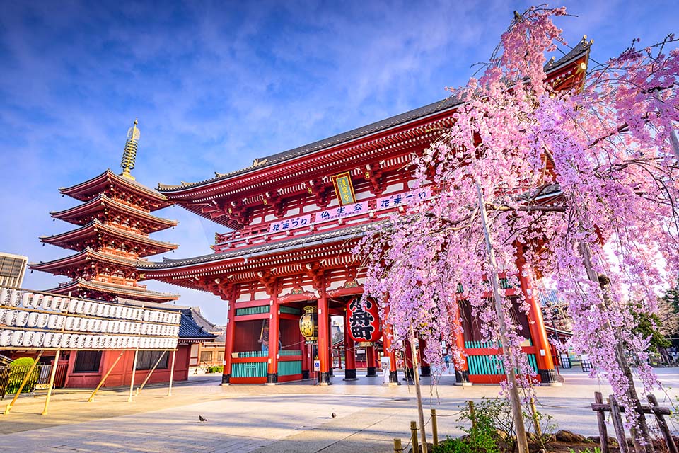 ทัวร์ญี่ปุ่น วัดเซนโซจิ หรือวัดโคมแดง (Sensoji Temple) Image37