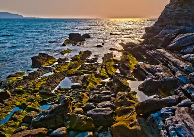 ทัวร์นีงาตะ Image2