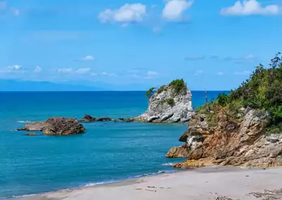 ทัวร์นีงาตะ Image3