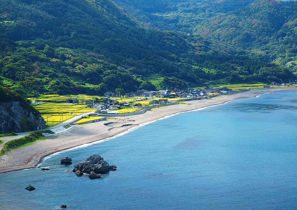 ทัวร์นีงาตะ เกาะซาโดะ (Sado Island) Image4