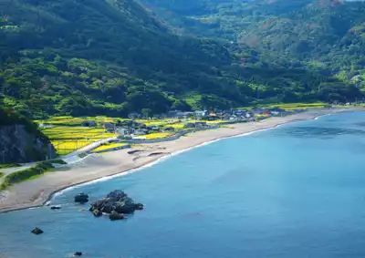 ทัวร์นีงาตะ เกาะซาโดะ (Sado Island) Image4