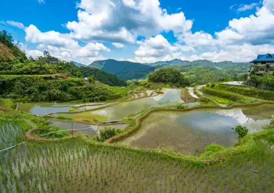 ทัวร์นีงาตะ นาข้าวขั้นบันไดโฮชิโตเงะ (Hoshitoge Rice Terraces) Image5