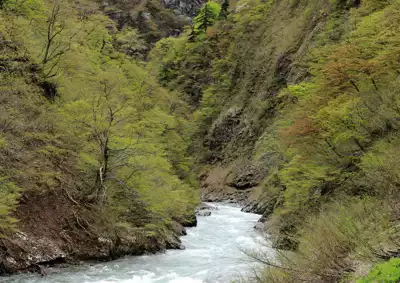 ทัวร์นีงาตะ ช่องเขาคิโยสึ (Kiyotsu Gorge) Image14