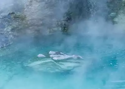 ทัวร์นีงาตะ สึกิโอกะออนเซ็น (Tsukioka Onsen) Image16