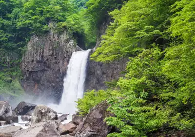 ทัวร์นีงาตะน้ำตกนาเอนะ (Naenataki Fall) Image18