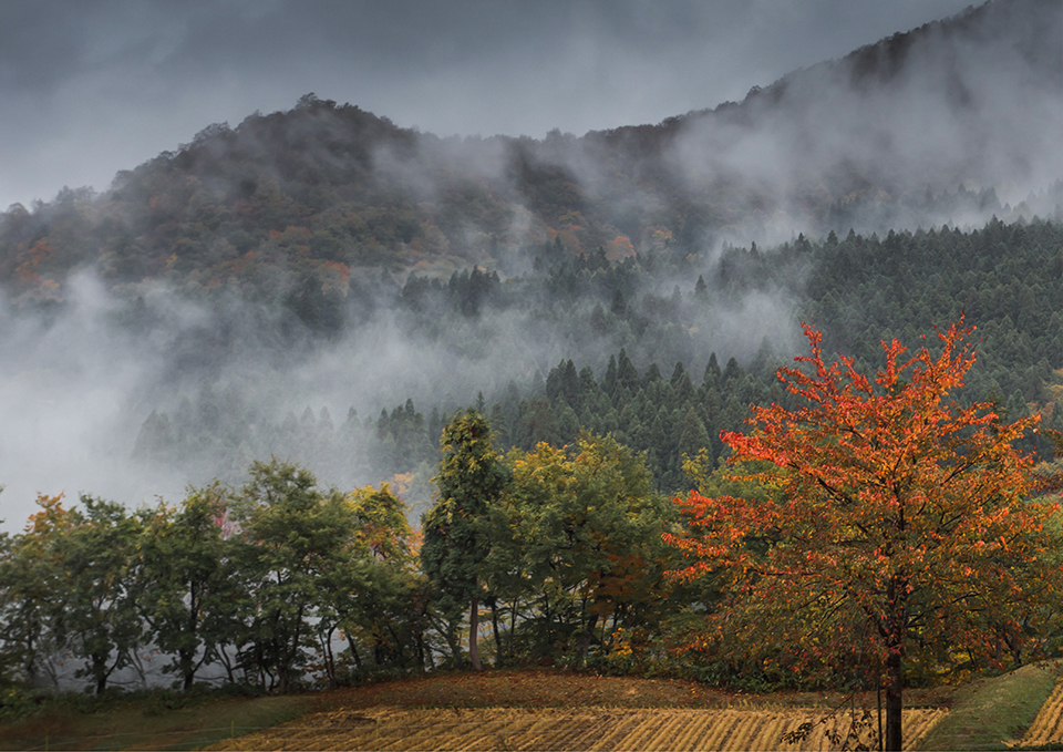 ทัวร์นีงาตะ Image29