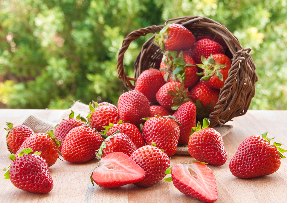 ทัวร์นีงาตะ Image31