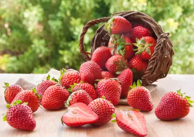 ทัวร์นีงาตะ Image31