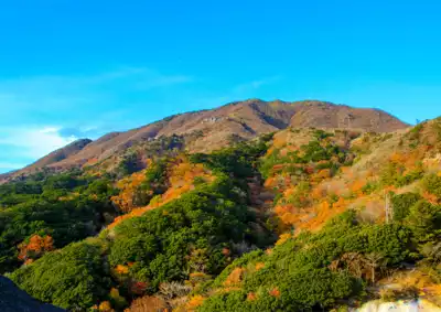 ทัวร์มิเอะ Image1