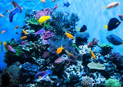 ทัวร์มิเอะ พิพิธภัณฑ์สัตว์น้ำโทบะ (Toba Aquarium) Image7