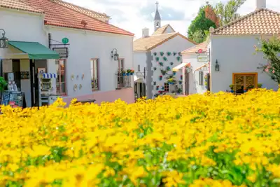 ทัวร์มิเอะ หมู่บ้านสเปนชิมะ (Shima Spain village) Image14