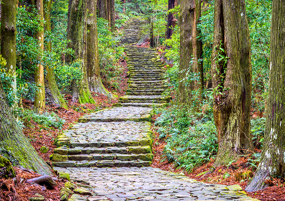 ทัวร์มิเอะ เส้นทางจาริกแสวงบุญคุมาโนะ โคโดะ (Kumano Kodo) Image15