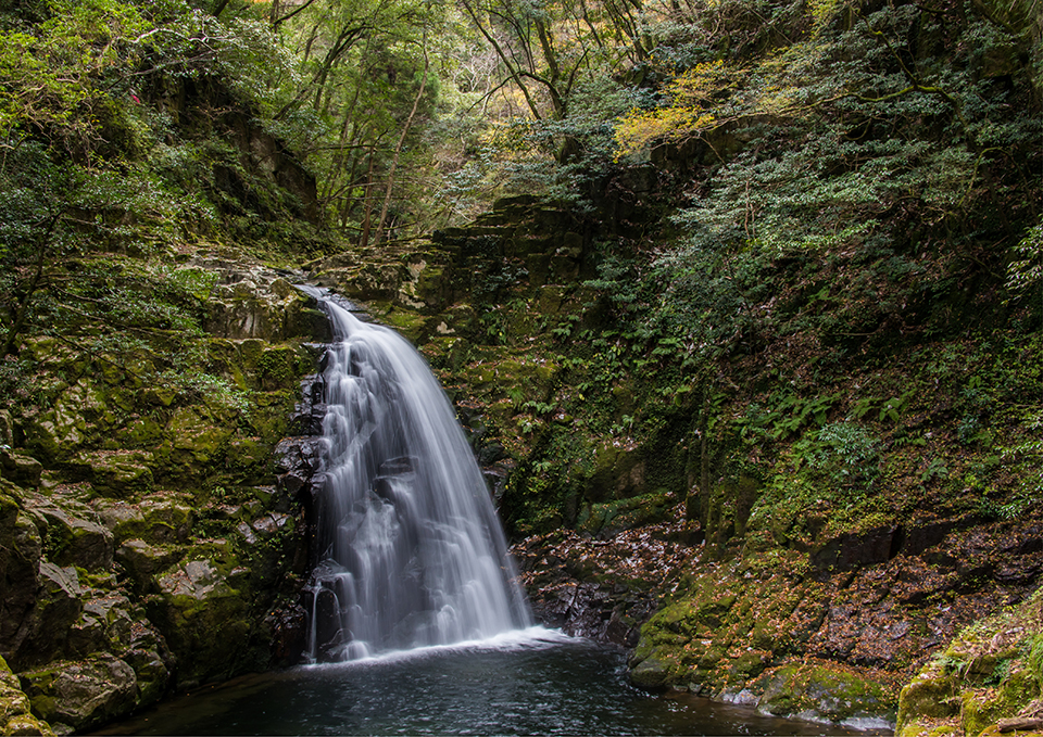 ทัวร์มิเอะ น้ำตกอาคาเมะ 48 (Akame 48 Waterfalls) Image16