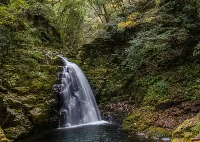 ทัวร์มิเอะ น้ำตกอาคาเมะ 48 (Akame 48 Waterfalls) Image16