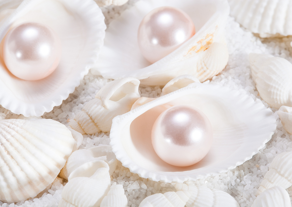 ทัวร์มิเอะ Image30