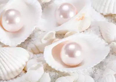 ทัวร์มิเอะ Image30