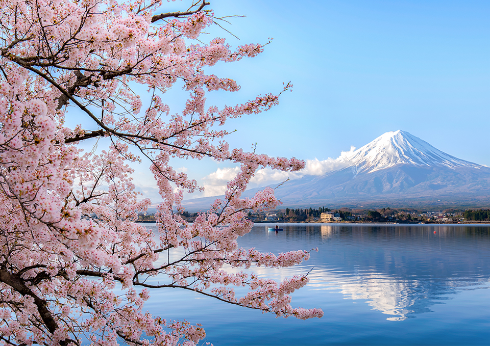 ทัวร์ยามานาชิ Image3