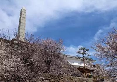 ทัวร์ยามานาชิ ปราสาทโคฟุ (Kofu Castle) Image11