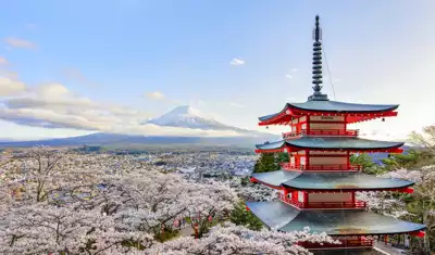ทัวร์ยามานาชิ เจดีย์แดงชูเรโตะ (Chureito Pagoda) Image13
