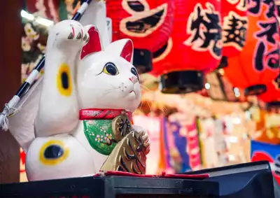 ทัวร์ยามานาชิ ช้อปปิ้งที่ Curios Garakuta Antique Market Image28