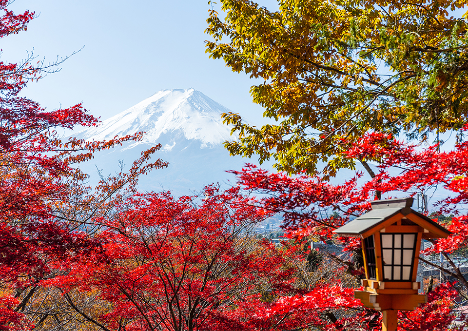 ทัวร์ยามานาชิ Image29