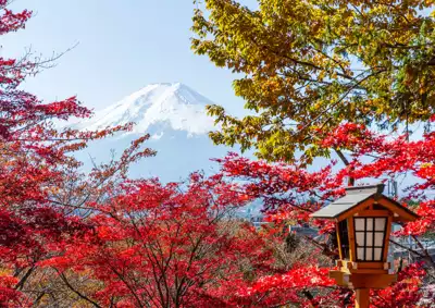 ทัวร์ยามานาชิ Image29