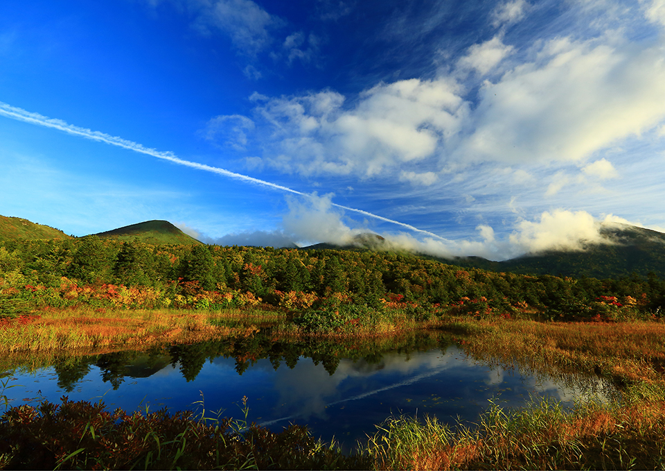 ทัวร์อาโอโมริ Image2