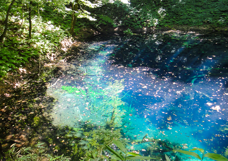 ทัวร์อาโอโมริ Image7