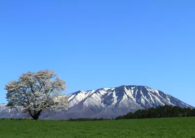 ทัวร์อิวาเตะ Image2