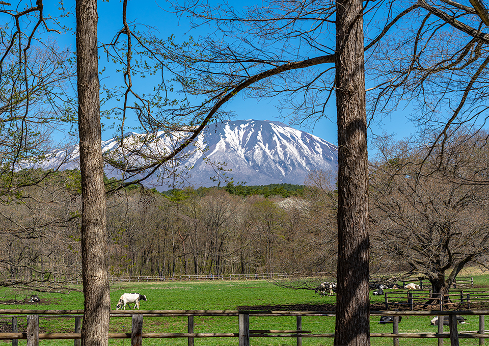 ทัวร์อิวาเตะ ฟาร์มโคอิไว (Koiwai Farm) Image6