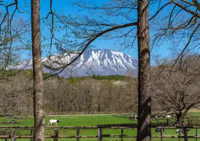 ทัวร์อิวาเตะ ฟาร์มโคอิไว (Koiwai Farm) Image6