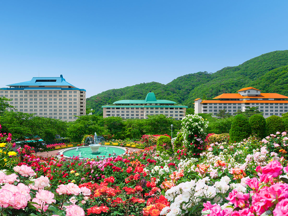 ทัวร์อิวาเตะ ผ่อนคลายที่ฮานามากิออนเซ็น (Hanamaki Onsen) Image12